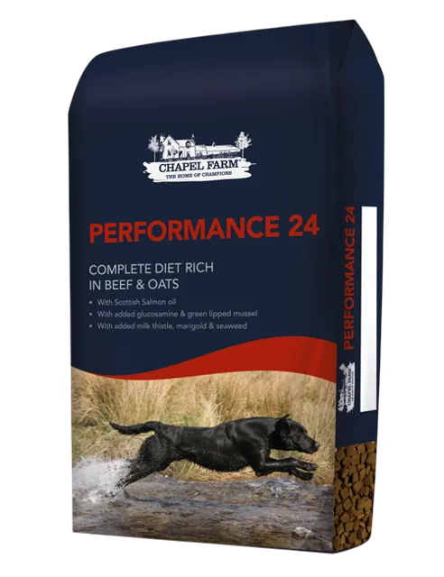 Chapel Farm Performance 24 – —