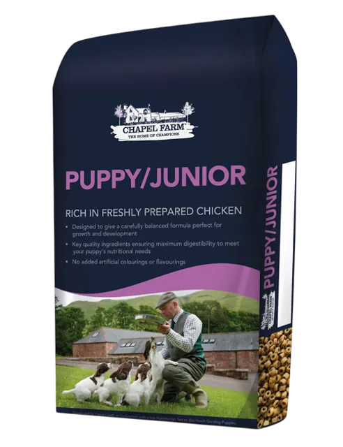 Chapel Farm Puppy/Junior – —