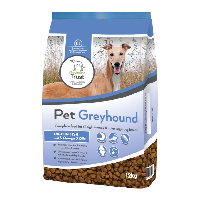 Chudleys Greyhound Trust Pet Greyhound – Fish