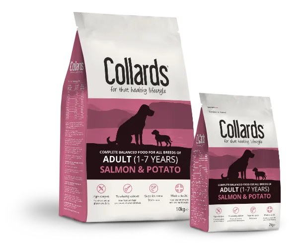 Collards Adult Salmon & Potato – —