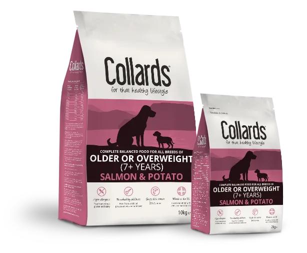 Collards Older/Overweight Dry Salmon and Potato – —