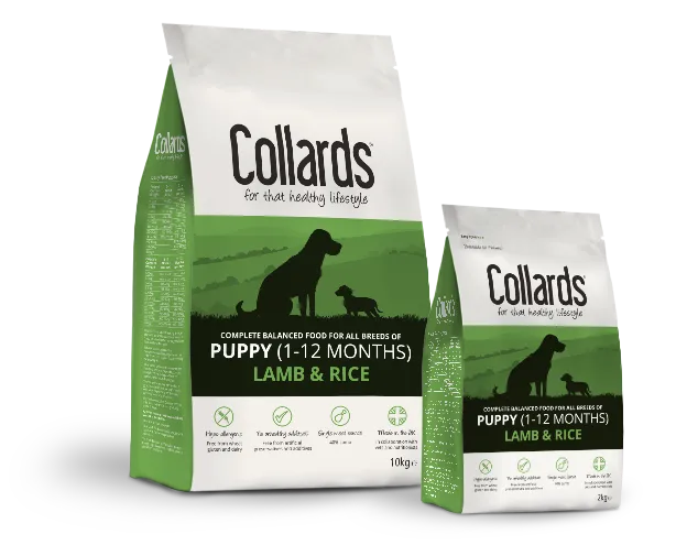 Collards Puppy Lamb and Rice – —