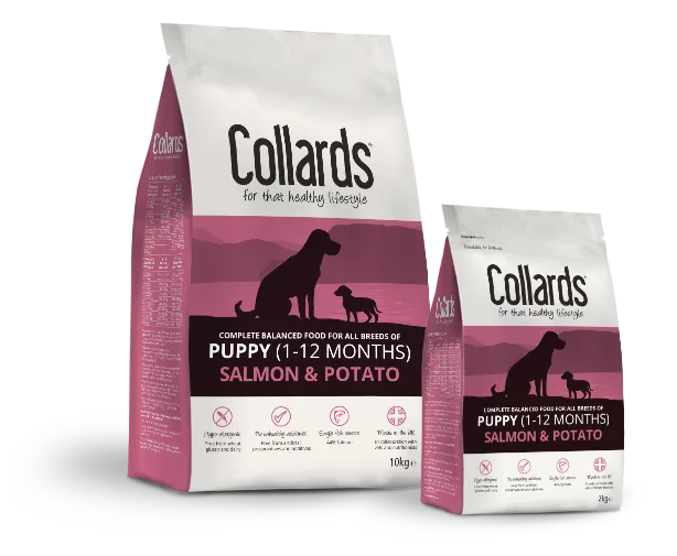 Collards Puppy Salmon & Potato – —