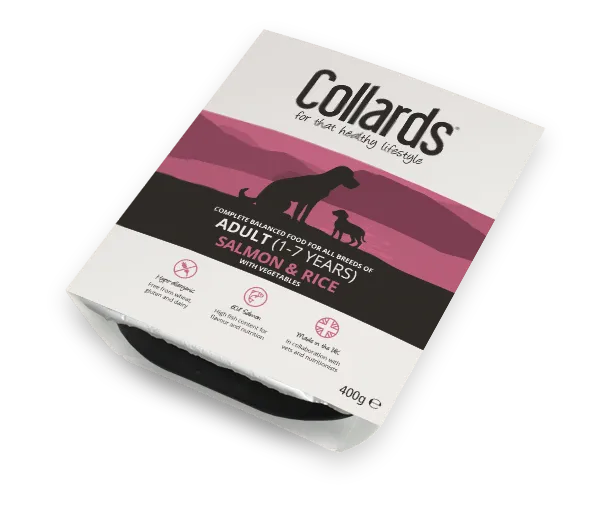 Collards Wet Dog Food Tray Adult – Salmon & Rice