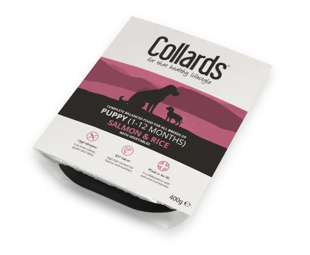 Collards Wet Dog Food Tray Puppy – Salmon & Rice
