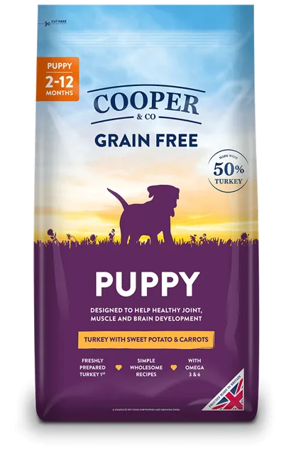 Cooper & Co Puppy – —