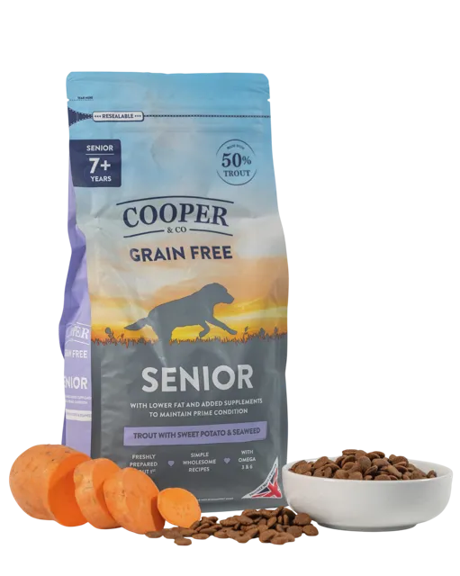 Cooper & Co Senior – —