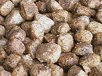 CSJ Herbie Nuts – —