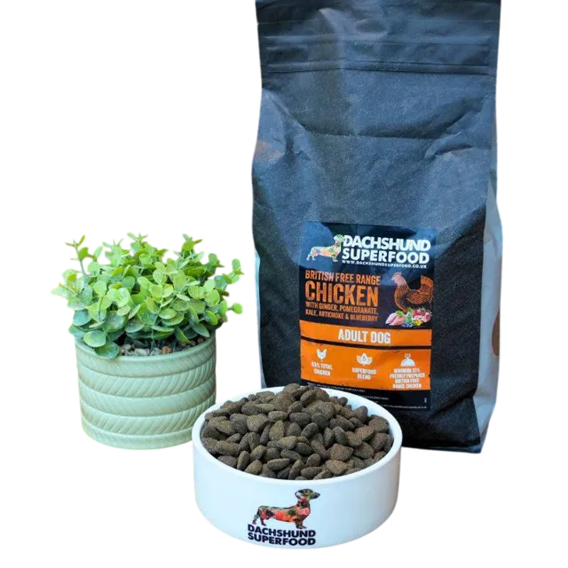 Dachshund Superfood Adult – British Free Range Chicken