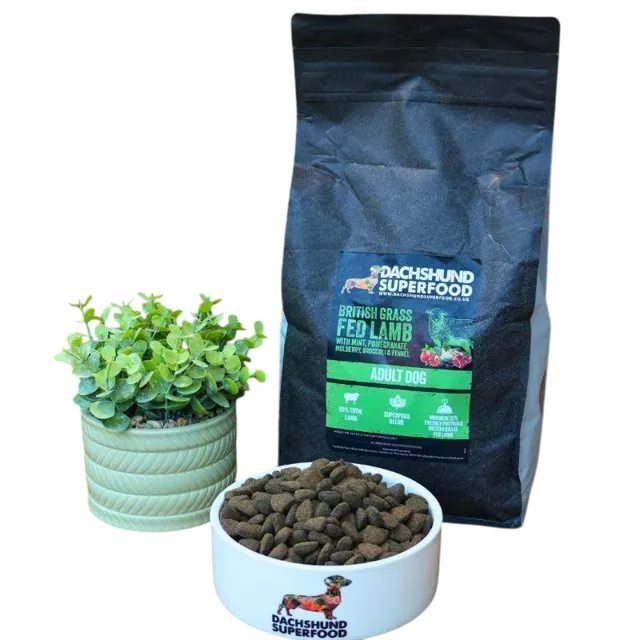Dachshund Superfood Adult – Lamb