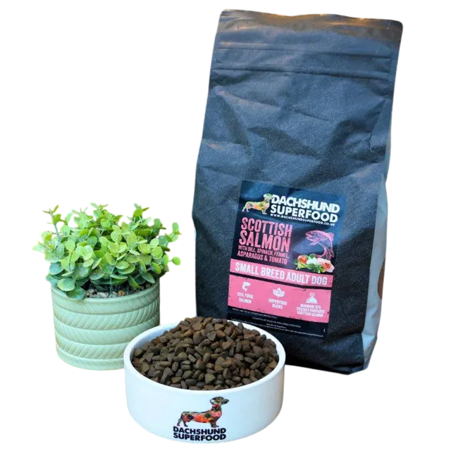 Dachshund Superfood Adult – Scottish Salmon