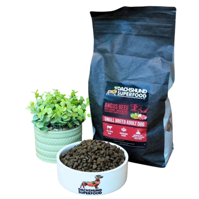 Dachshund Superfood All Life Stages – —