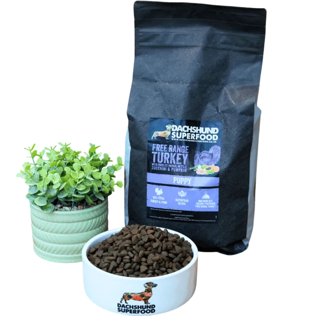 Dachshund Superfood Puppy – English Free Range Turkey
