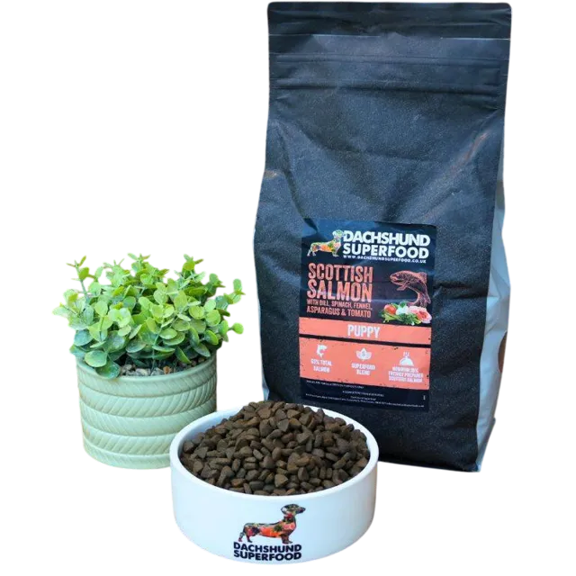 Dachshund Superfood Puppy – Scottish Salmon