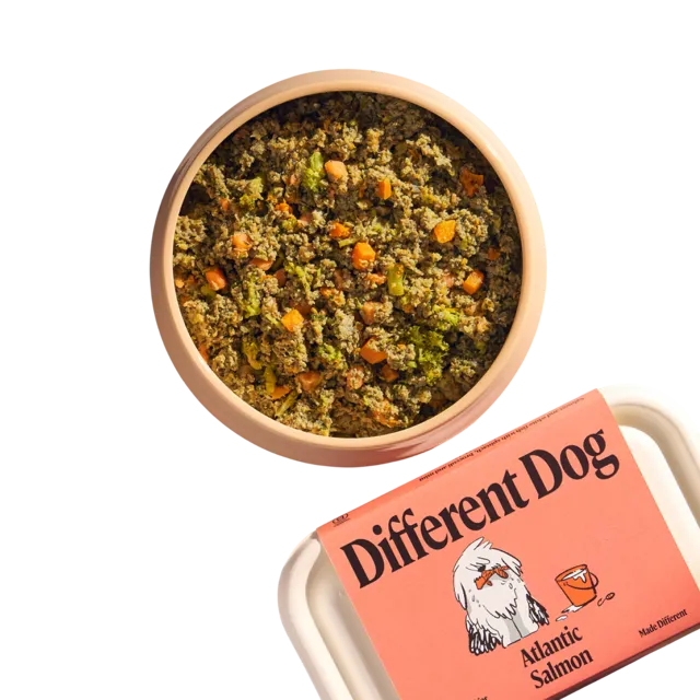 Different Dog – Atlantic Salmon