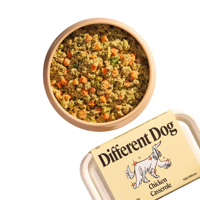 Different Dog – Chicken Casserole