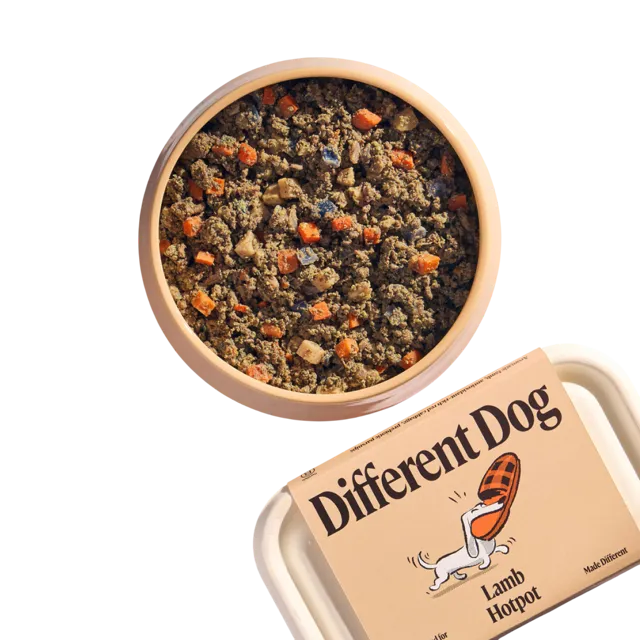 Different Dog – Lamb Hotpot