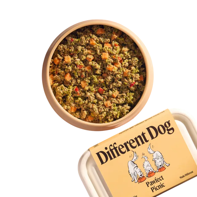 Different Dog – Pawfect Picnic