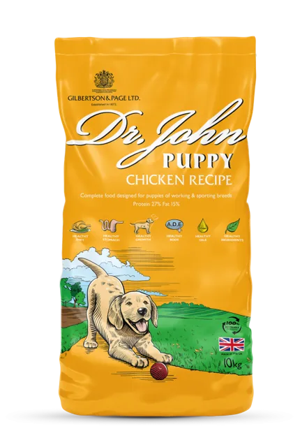 Dr John Puppy – —