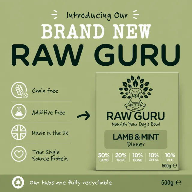 Embark on Raw Guru – Lamb & Mint