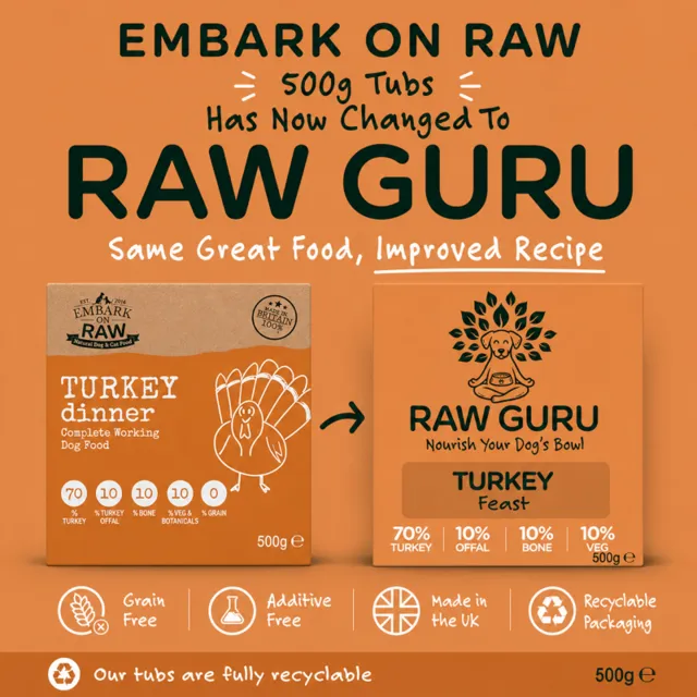 Embark on Raw Guru – Turkey Dinner