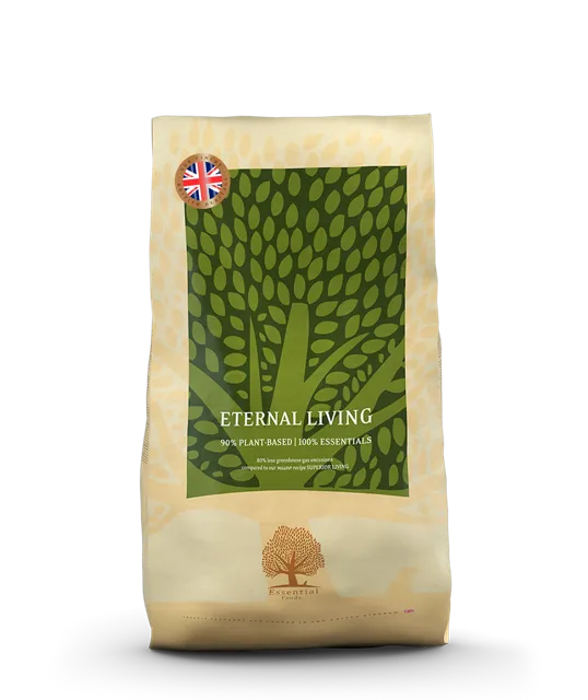 Essential Eternal Living – —