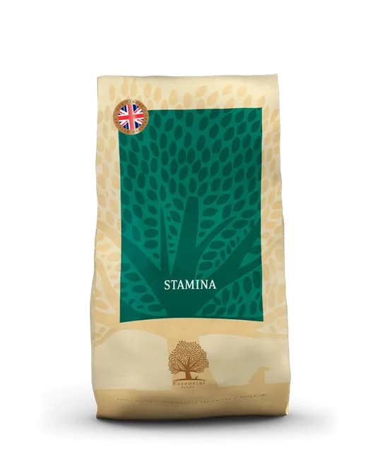 Essential Stamina – —