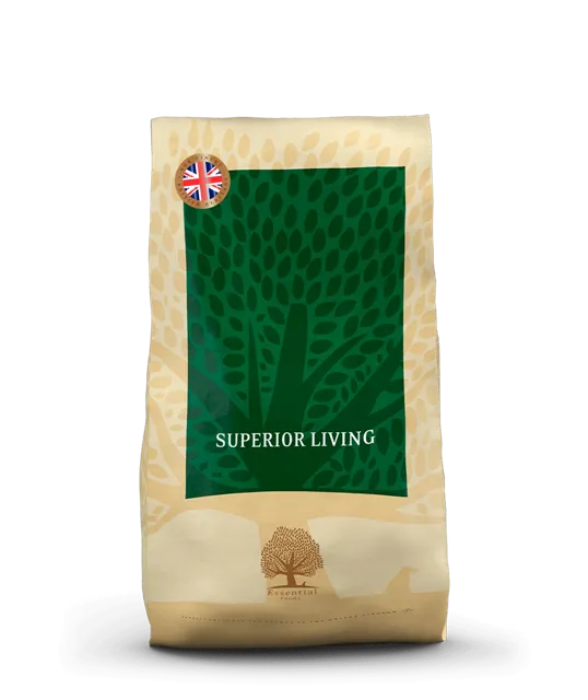 Essential Superior Living – —