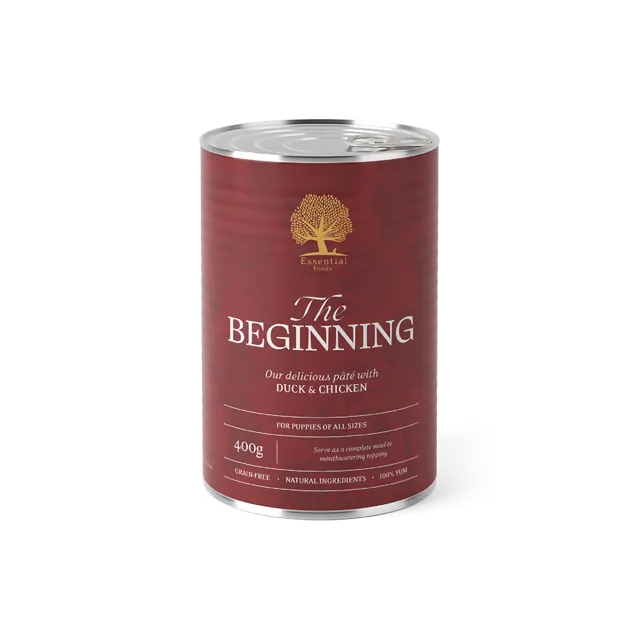 Essential The Beginning Pate – —