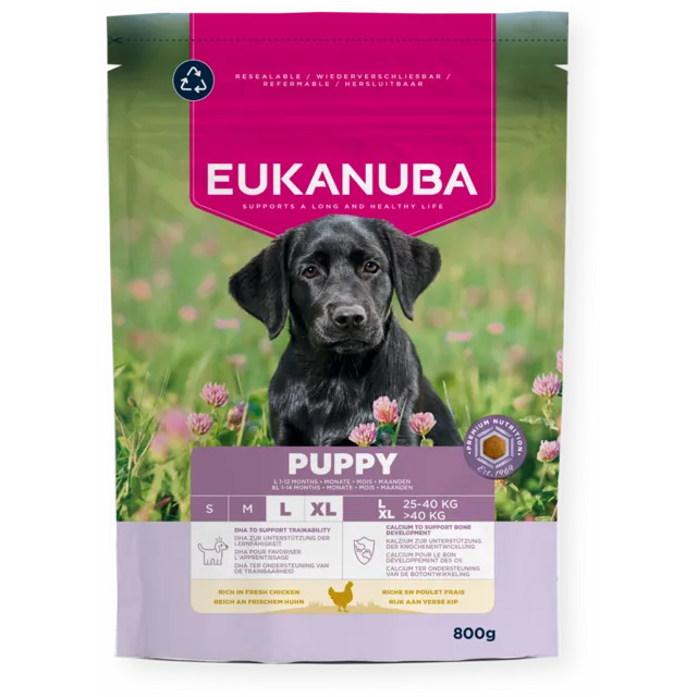 Eukanuba Growing Puppy Large Breed – —