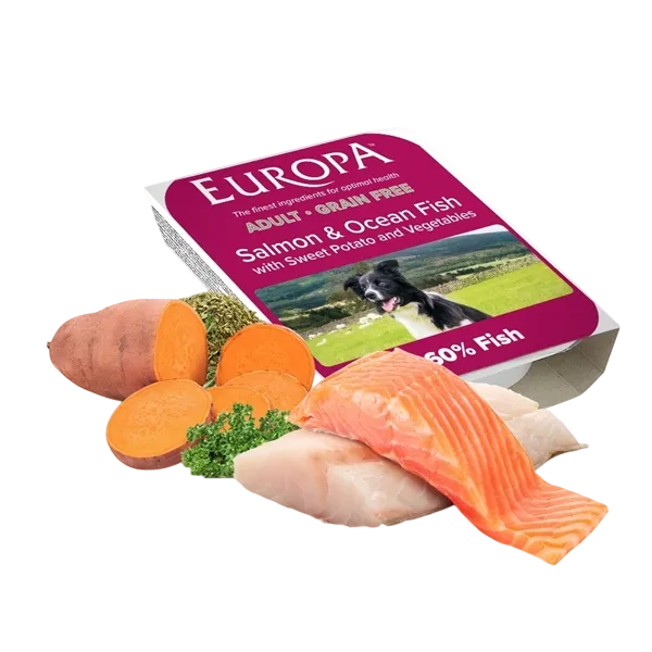 Europa Grain Free Adult Trays – Salmon & Ocean White Fish