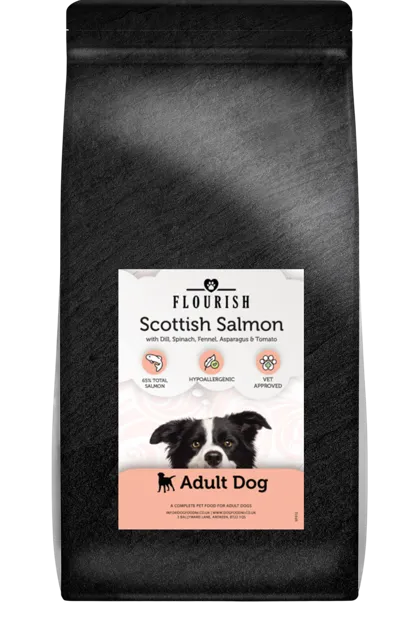 Flourish Adult – Scottish Salmon