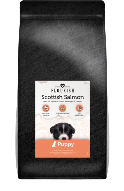 Flourish Puppy – Scottish Salmon