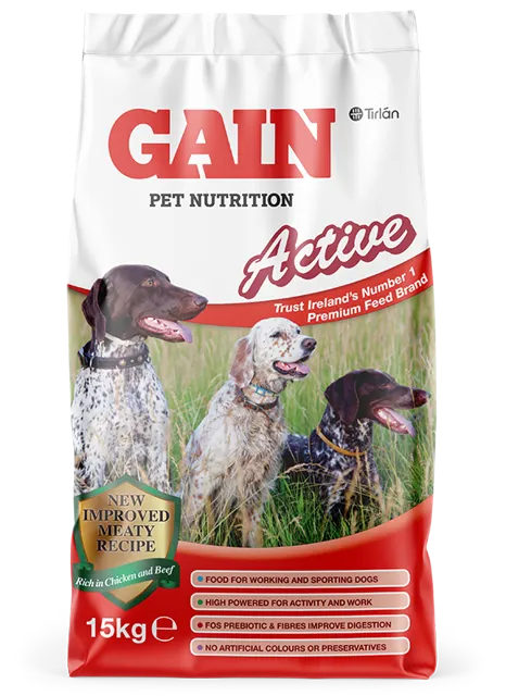 GAIN Active – —