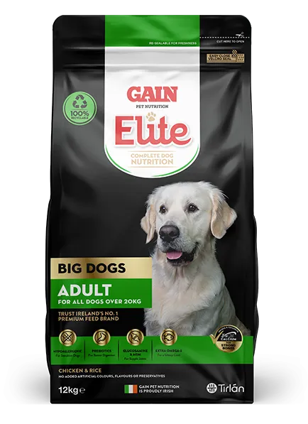 GAIN Elite Big Dogs – Adult