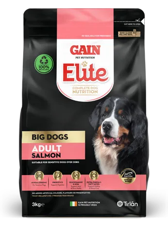 GAIN Elite Big Dogs – Adult Salmon