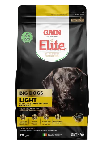 GAIN Elite Big Dogs – Light