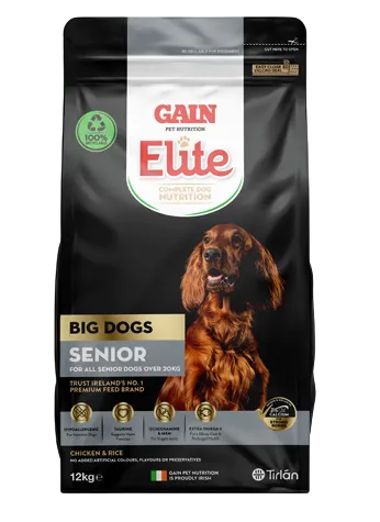 GAIN Elite Big Dogs – Senior