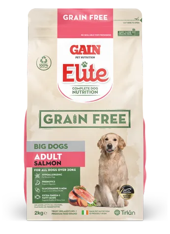 GAIN Elite Grain Free Big Dogs – Adult Salmon