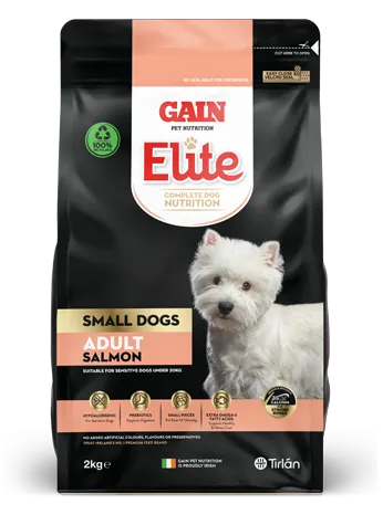 GAIN Elite Small Dogs – Adult Salmon