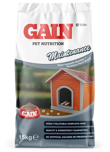 Gain Maintenance – —