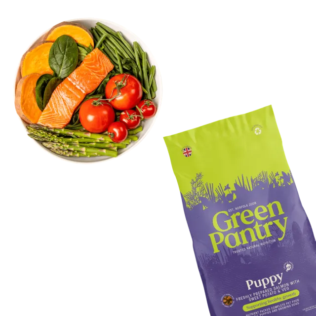 Green Pantry Puppy – Salmon with Sweet Potato & Veg