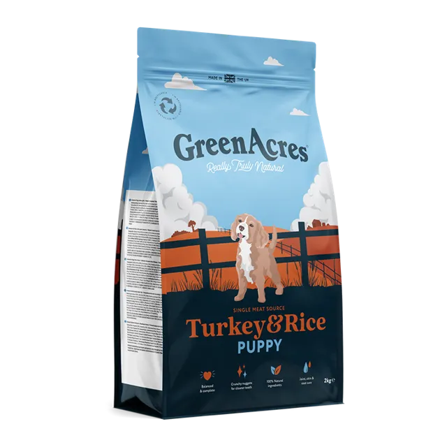 GreenAcres Puppy – —