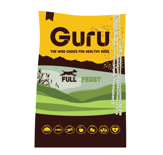 Guru Full On Feast – —