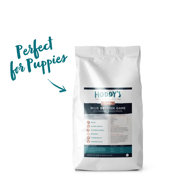 Hoddy's Puppy – —