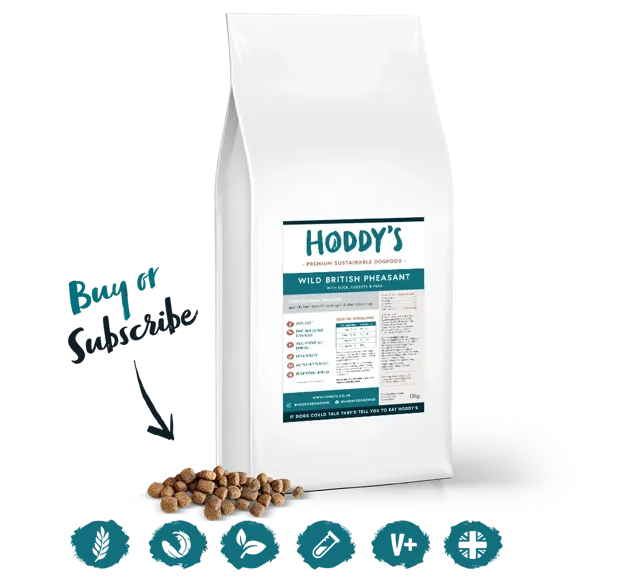 Hoddy's Wild Dry – British Pheasant
