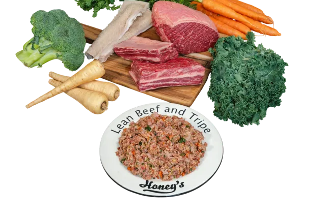 Honey's Raw Lean – Beef & Tripe