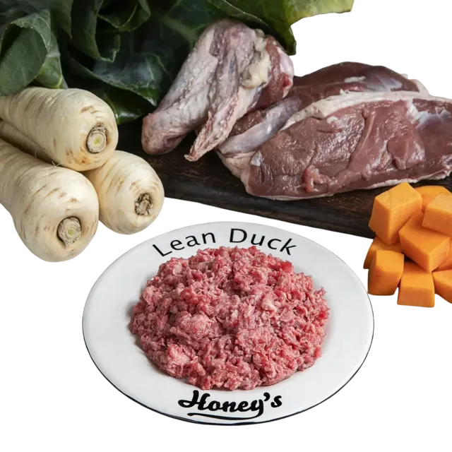 Honey's Raw Lean – Duck