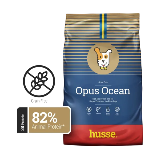 Husse Opus Ocean – —