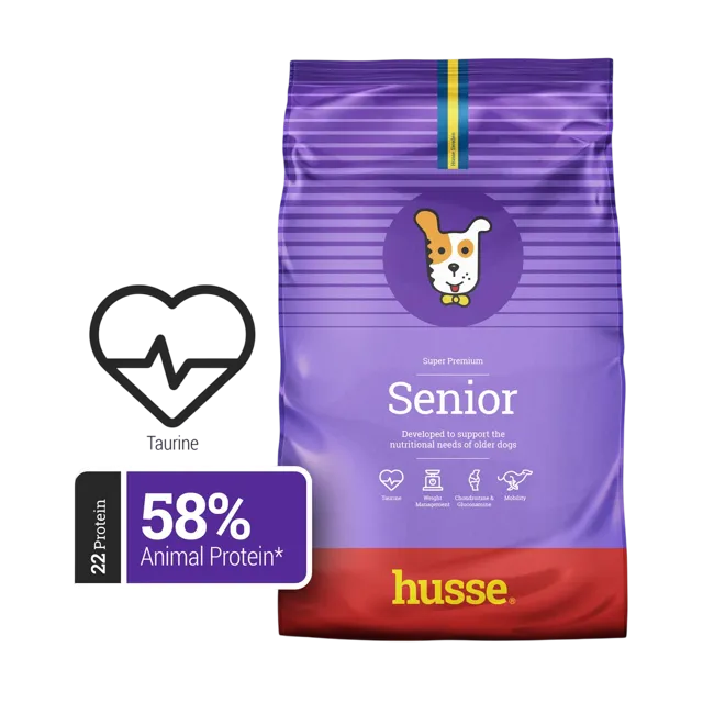 Husse Senior – —